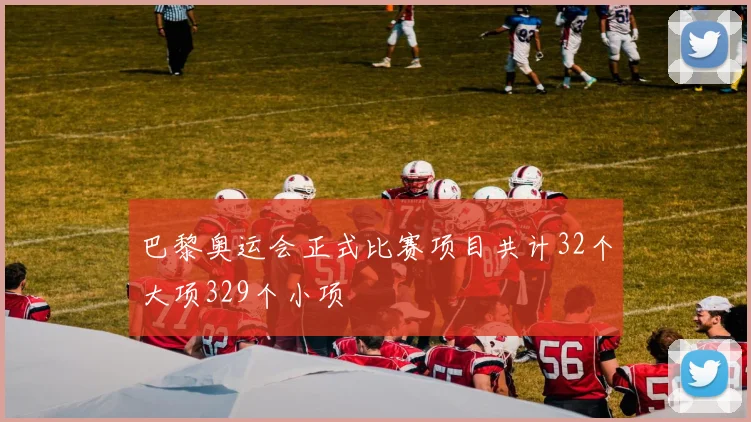 巴黎奥运会正式比赛项目共计32个大项329个小项