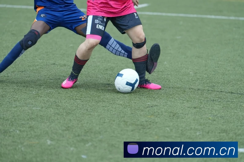 ng电子游戏·(中国区)官方网站APP 封面图